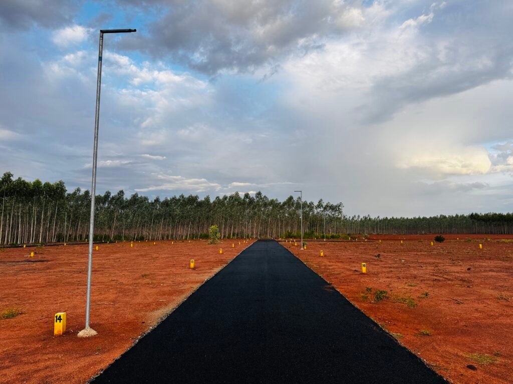 Varsha Nagar — Avudaipoigai, Karaikudi
